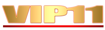 Logo Vip11